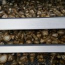 호구농장 이미지