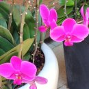 문화가 있는 날- 러브액츄얼리 이미지