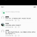 피티온도 이미지