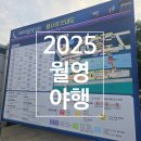 🌙 2025 안동 월영야행 후기 – 사람은 많고 주차는 헬, 그래도 야경은 끝내줬다!