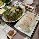 백김치새싹막회본점 | 전주 숙성회 맛집 백김치새싹막회 본점 전현무계획 전주편 대광어 횟집 내돈내산 후기