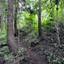 선흘리에 이미지