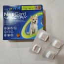 정왕동물약국 이미지