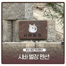 여수 애견동반펜션 가성비 독채펜션 시바별장 내돈내산 솔직후기