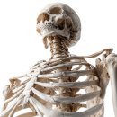 마성호내과의원 이미지