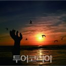 소원성취 조선일보