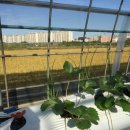 현이농장 이미지