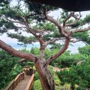 산마루정 이미지