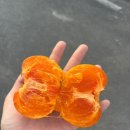 햅삐데이 이미지