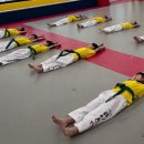 경희대 에이스태권도 이미지