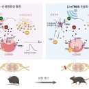 바이오칼슘주식회사 이미지