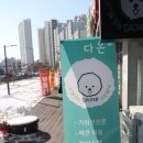 댕댕이샾 이미지