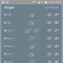 멕시칸치킨 이미지