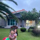 이정자농원 이미지