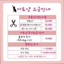 아토냥 이미지