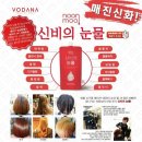 자유사 이미지