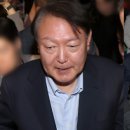 보인 이미지