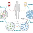 주식회사 지아이글로벌 이미지