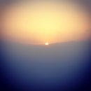 백시 - 평택시 탄현1로 160 | 백시