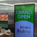 별 온누리약국 | 동탄 메가온누리약국 방문후기 발리여행준비물 상비약