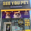 디오 동물병원 이미지