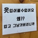 화원우체국 | 리산개큰가입. 듄을 보고 베트남 무이네를 가다.. 근데 왜? ⸌◦̈⃝⸍ʷʰʸˀ̣ˀ̣ˀ̣