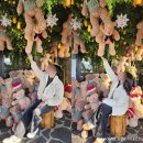 (주)팬스타트리(담) | 내돈내산 대형 크리스마스 트리 카페 추천 모음 6곳 | 포토존 인생샷