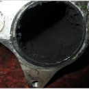 곰식이카 이미지