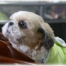 대방동물병원 이미지