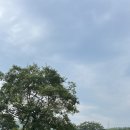 엘림민박 이미지