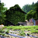 벌랏한지마을 이미지