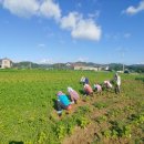 하서3리마을기업 이미지