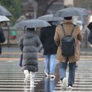 나날부동산중개사사무소 이미지