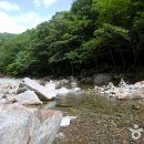 사하초교 앞 이미지