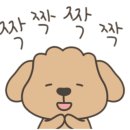 (주)소담소담