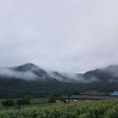 후곡보건진료소 네이버블로그