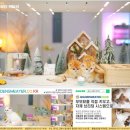 그루밍공방 | 브리티쉬숏헤어집사의 도자기 공방에서 만난 특별한 인연