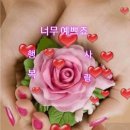 ♤밤에 읽는 조선왕조실록 &#34;夜&#34;사 ㅡ16♧ 이미지