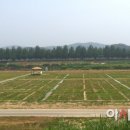 아산곡교천야영장 이미지