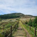 성읍리-23 이미지