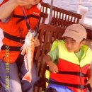 요일민박 이미지