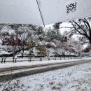 상갈초등학교 사거리 이미지