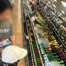 티제이골프스크린 | [미국 일상] 녹스빌 러닝 크루 결성이요 (아이스크림 차 / 왕과 사는 남자 / 파파존스 피자 / 캔디...