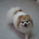 미니주동물병원 이미지