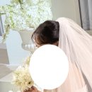 더공주 | 👑 공주놀이 성공! 더브라이덜수 & 세미앙스튜디오 웨딩촬영 솔직 후기💍