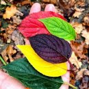 행복그자리 이미지