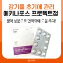 유당빌딩 | 콜록 종합감기약 고민일 땐? 에키나포스 복용 후기는 안양동약국에서