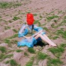 하이독스 이미지