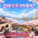 진해구 ⓒ-4 이미지