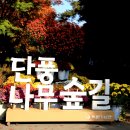 제 214차 러셀산악회 11월 정기산행 소개 및 신청(천안 흑성산) 이미지